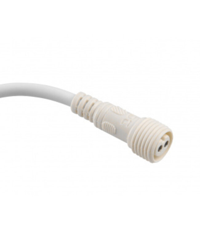 Rising Dragon Rising Dragon Licht Controller 2 draden