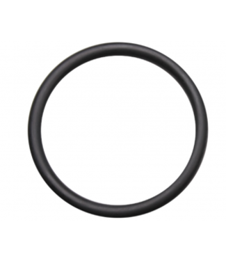 58 mm o-ring voor 2" pompaansluiting