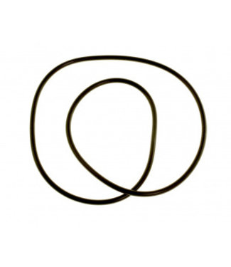 O-ring voor jacuzzi filterdeksel