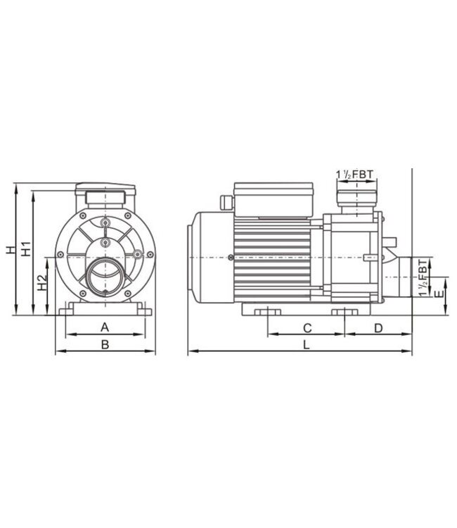 LX Whirlpool  LX TDA100 Spa Circulatiepomp 1 PK