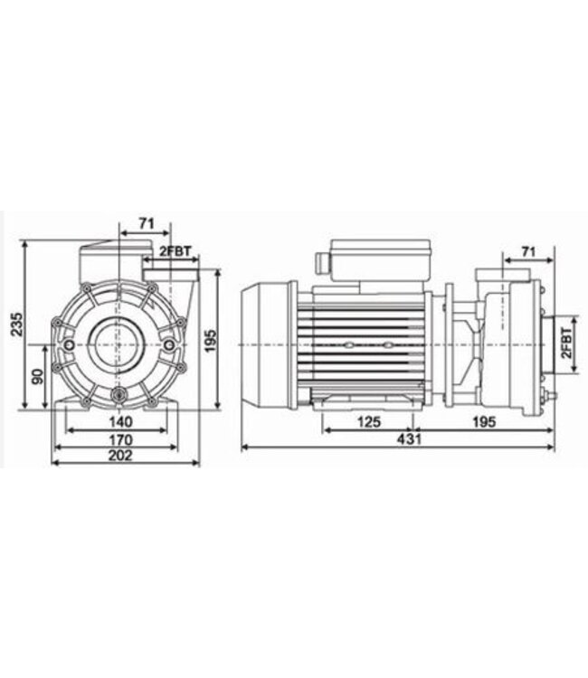 LX Whirlpool  LX Whirlpool WP300-II pomp met twee snelheden