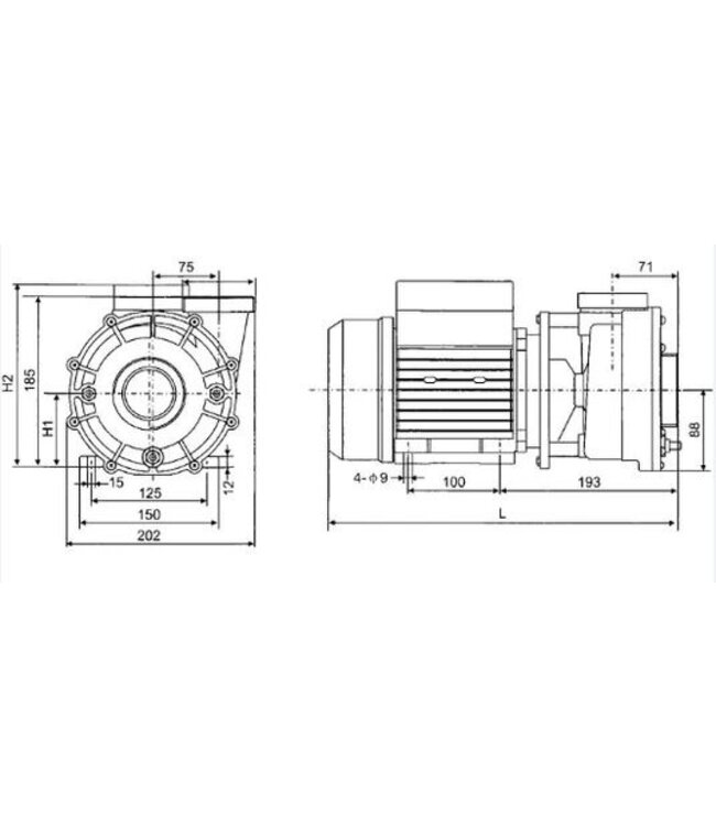 LX Whirlpool  LX Whirlpool LP300 één snelheid pomp