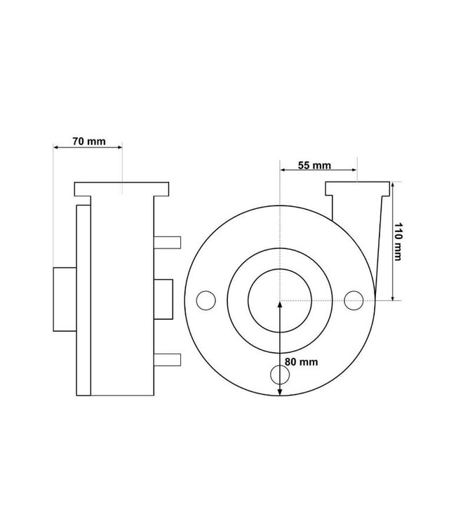 Balboa  Balboa Sta-Rite DuraJet pomp met twee snelheden