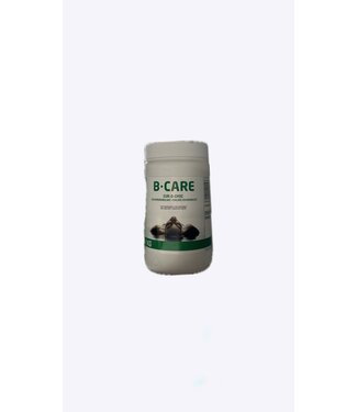 B-care Eur-O-Choc Chloorgranulaat