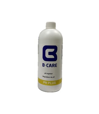 SpaLine  Spa pH plus 1L