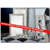 Spiegel Francesco Silber