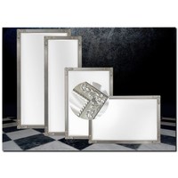 Spiegel Raul Antiekzilver