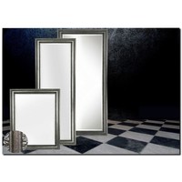 Spiegel Carlo Antiekzilver