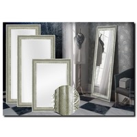 Spiegel Leonardo Silber