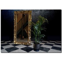 Spiegel Letizia Antiekgoud