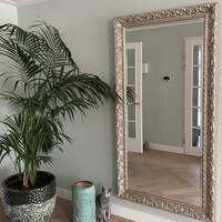 Zilveren spiegels – tijdloze elegantie voor elk interieur