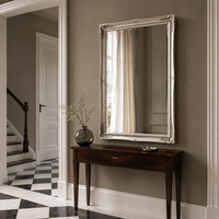 Mirror Denzel Silver Special offer!