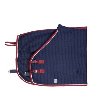 Greenfield Selection Thermo rug - navy/burgundy-white