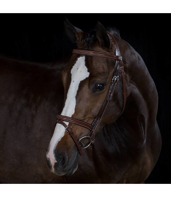 Stockholm Bridle - Cow leather