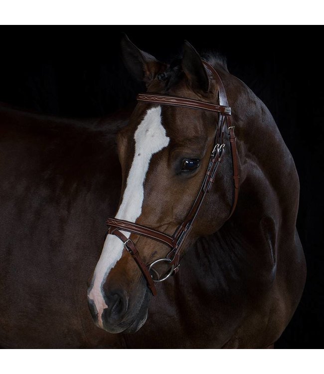 Bridle with combined noseband