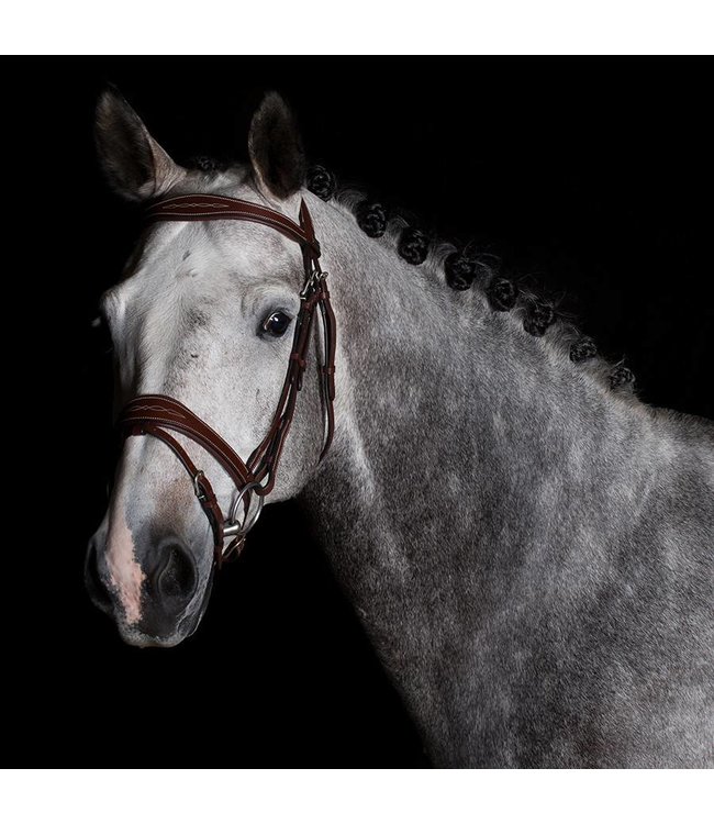 740/Q2 - Bridle with wide noseband - calf leather excl. reins