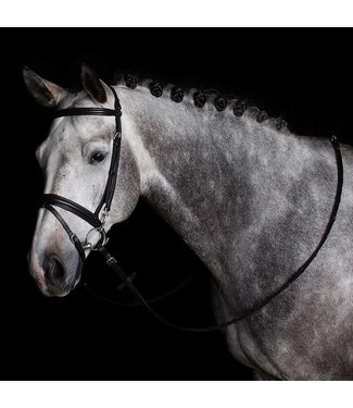 Greenfield Selection Training bridle with reins