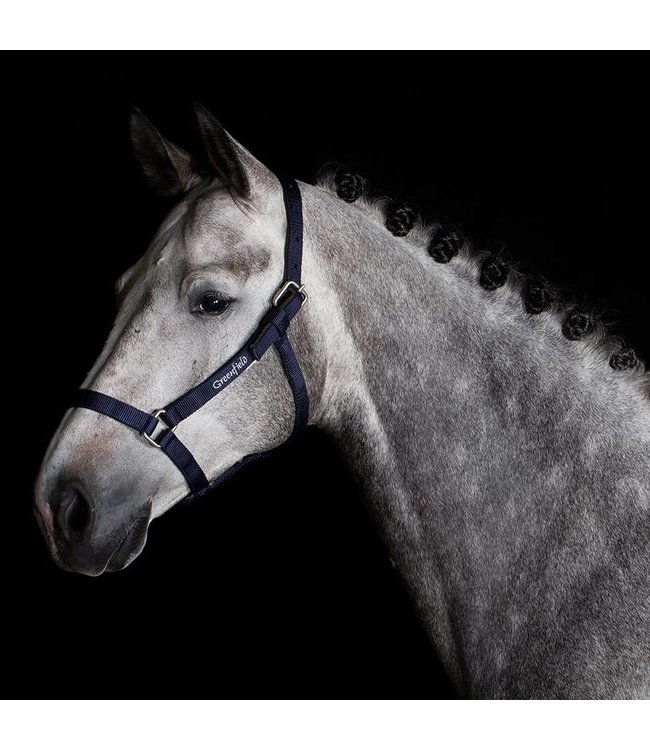 Strong headcollar - light model