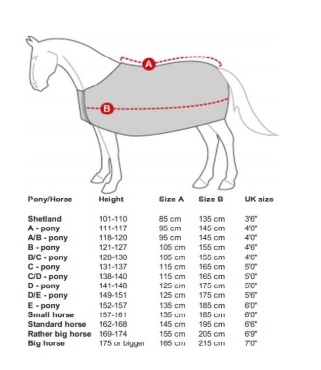 Size chart rugs