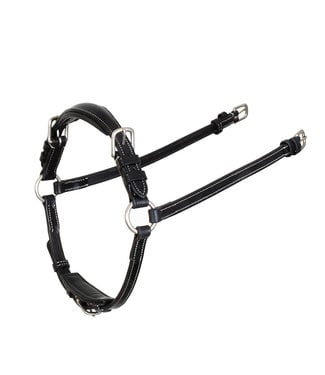 Greenfield Selection ACC12 - Drop noseband