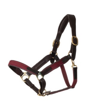 Greenfield Selection Leather headcollar with fabric - burgundy