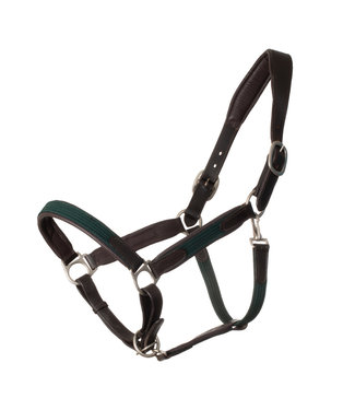 Greenfield Selection Leather headcollar with fabric - green