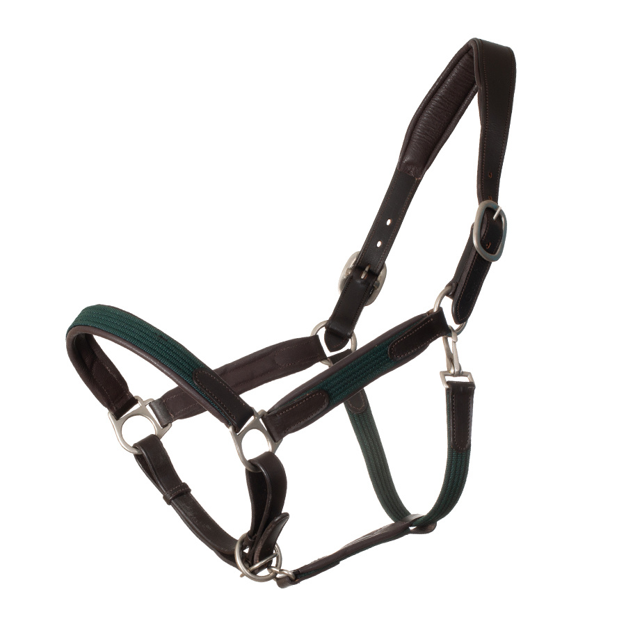 Leather headcollar with fabric green Greenfield Selection