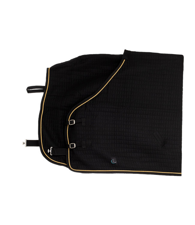 Thermo rug - black/black-gold