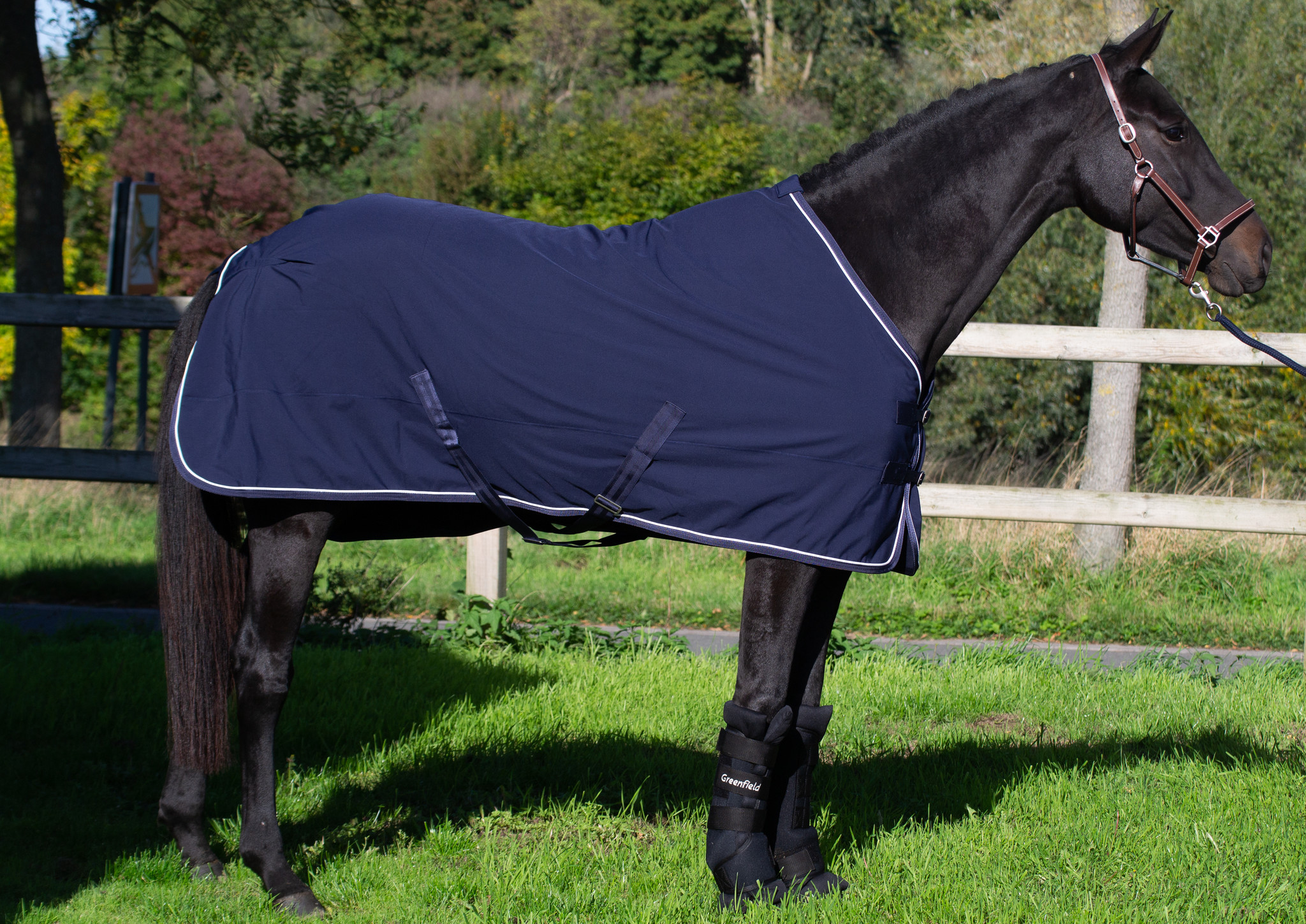 New product: the Softshell rug