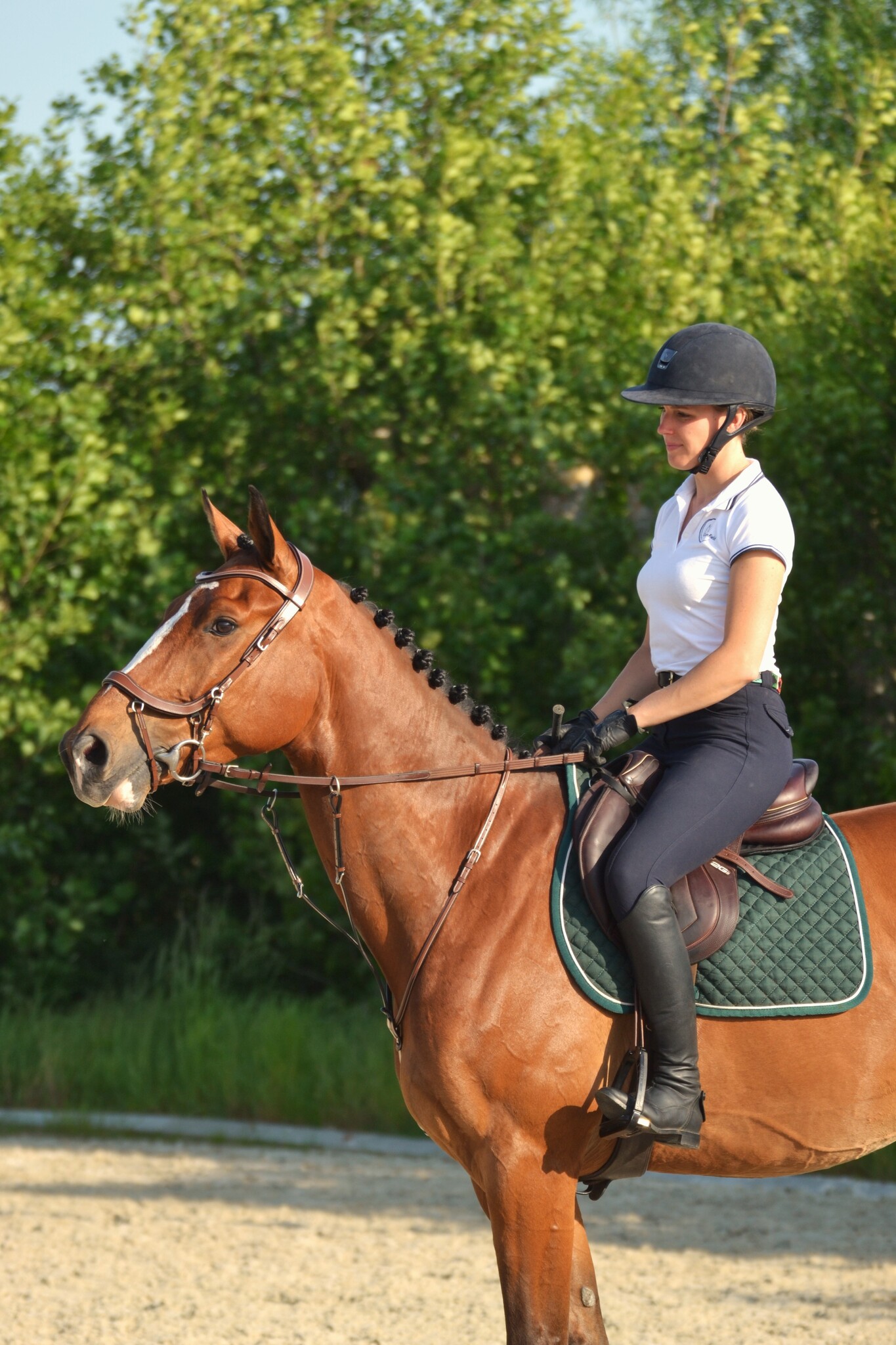 1940 Running martingale with adaptable fork Greenfield Selection