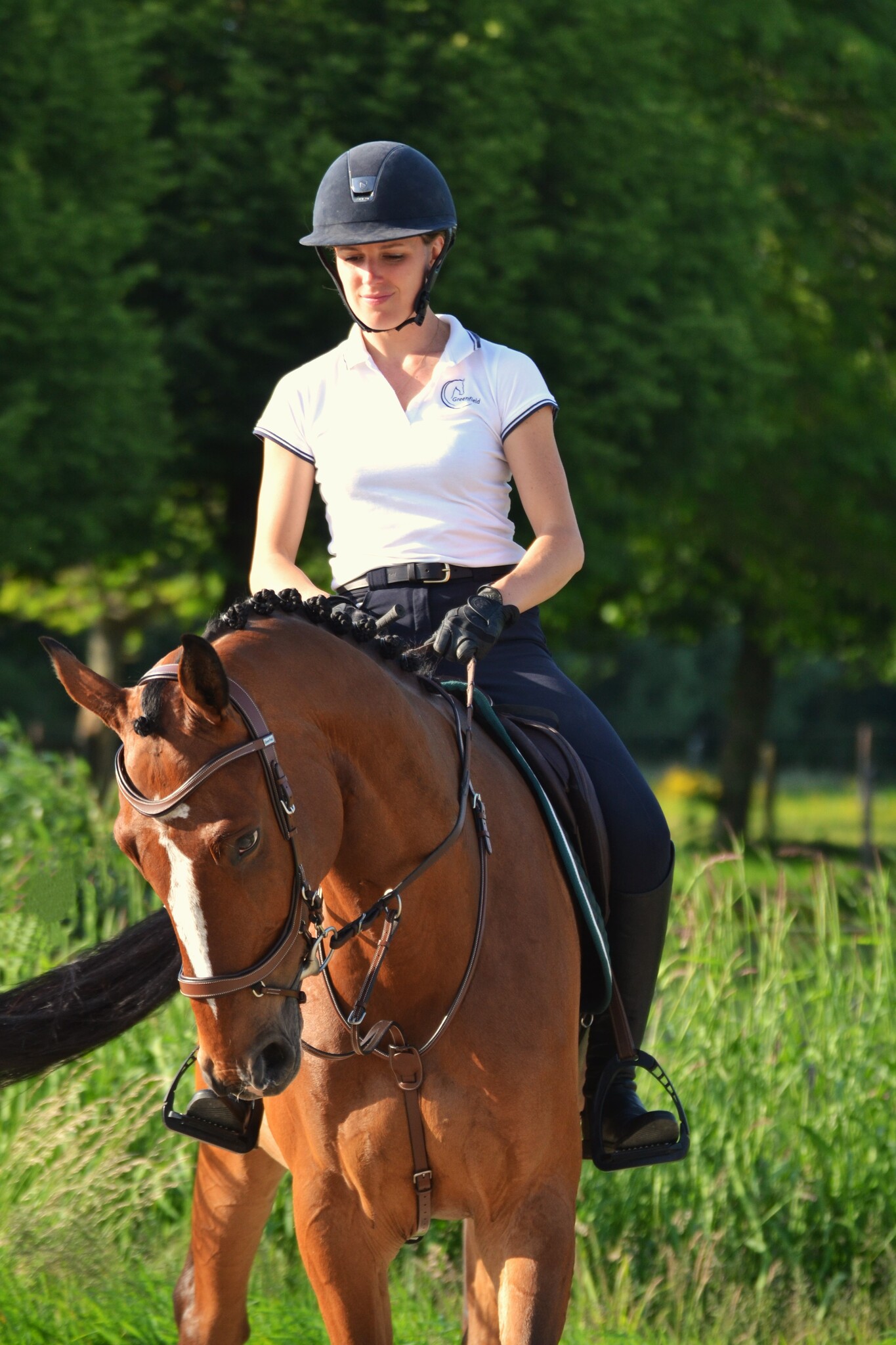 1940 Running martingale with adaptable fork Greenfield Selection