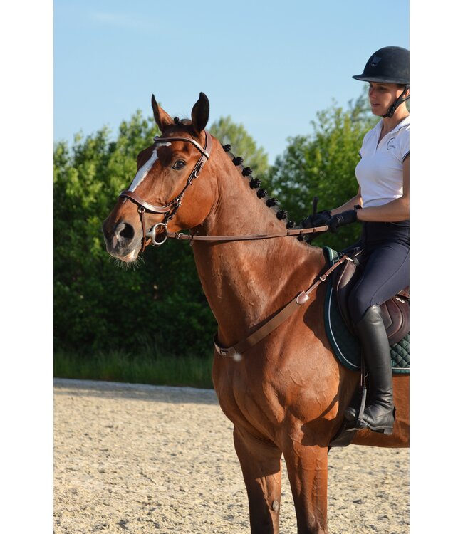 2055 Elastic breast collar Greenfield Selection