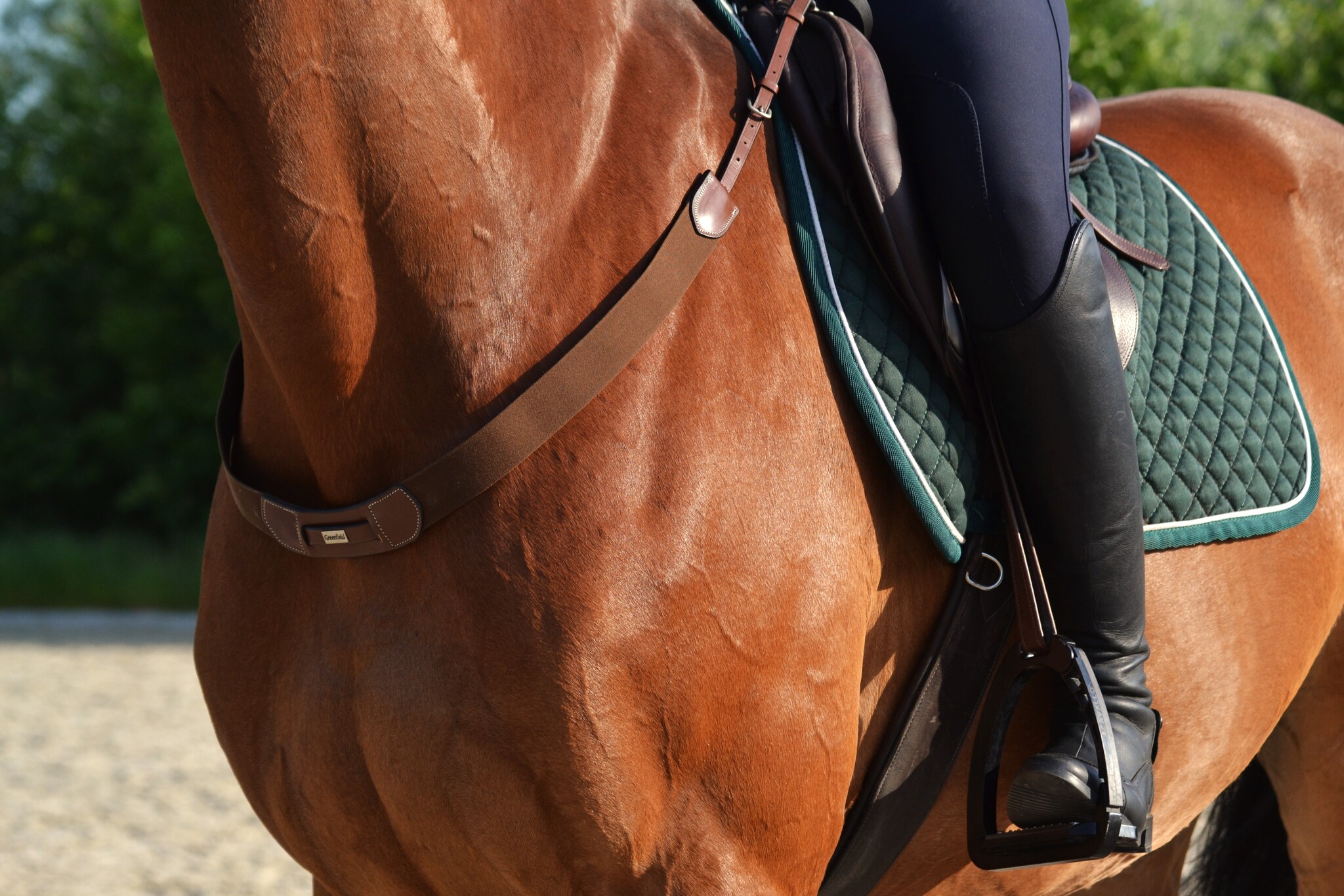 2055 Elastic breast collar Greenfield Selection