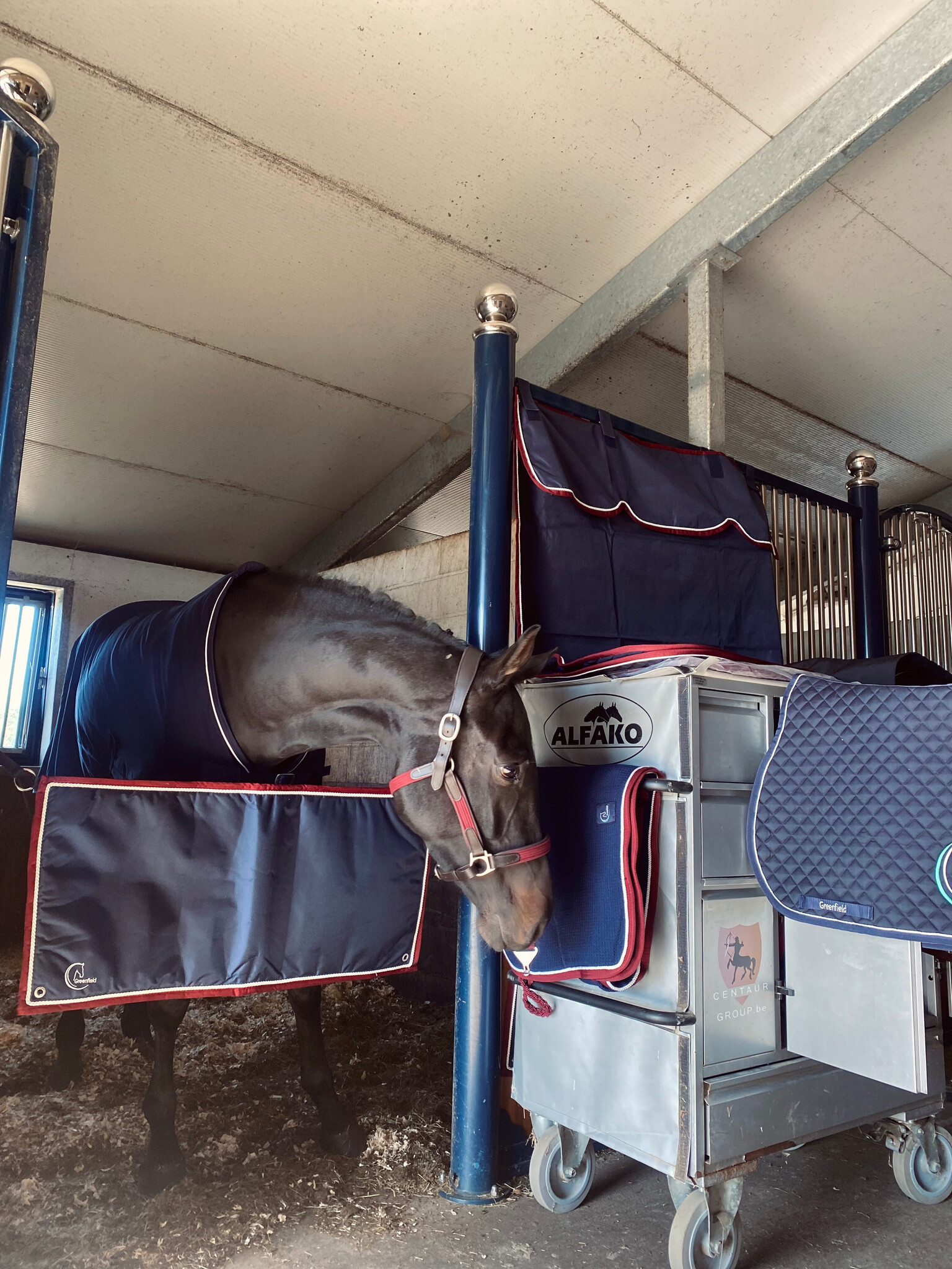 Safer, Comfier Horses in the Stable.