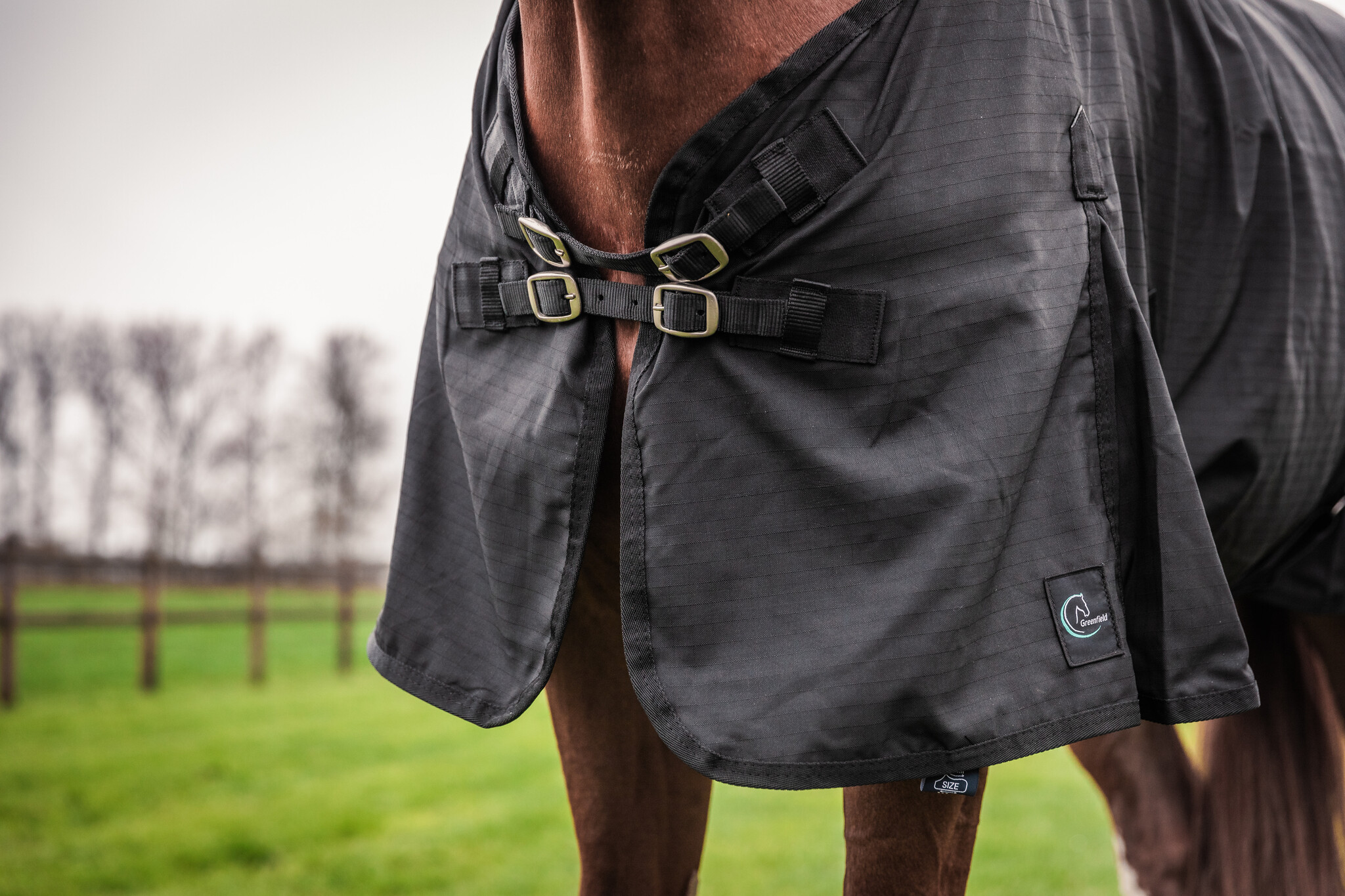 In-Between Season Blankets for Your Horses