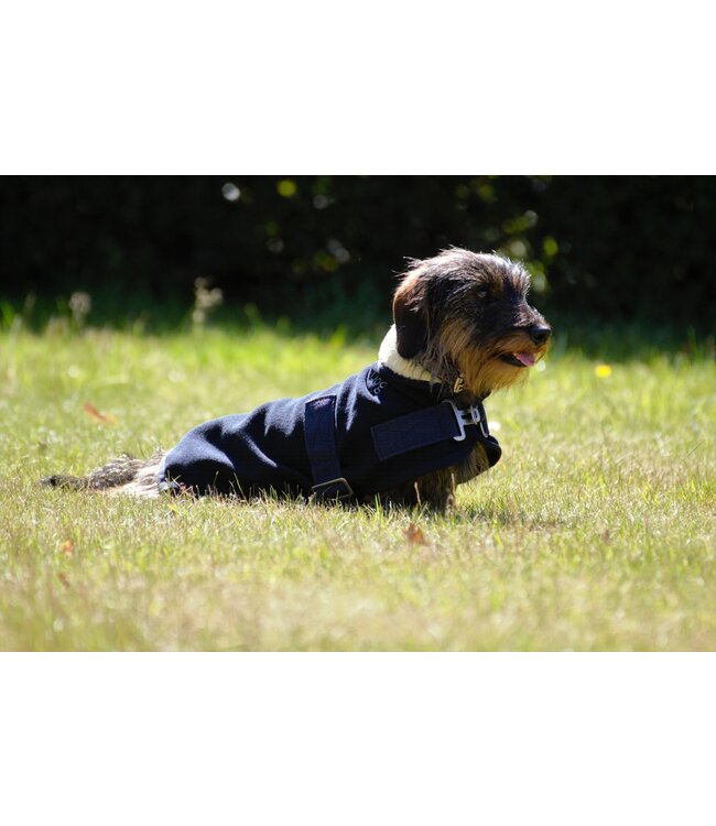 Manteau pour chien polaire avec col teddy