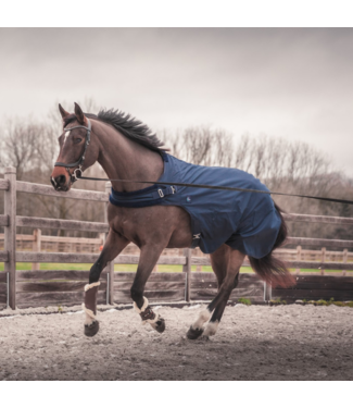 Greenfield Selection Waterproof walker rug