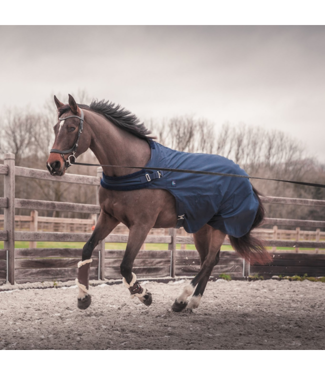 Waterproof walker rug