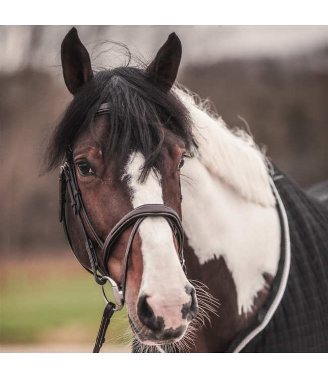 Bridle with hidden noseband