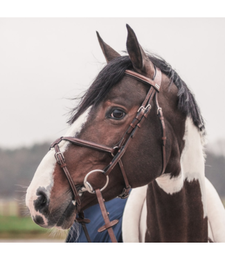 Greenfield Selection Mexico Bridle - Calf leather