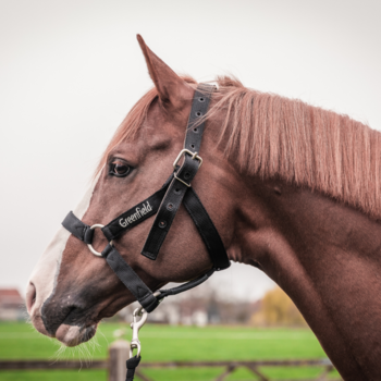 Licols & longes