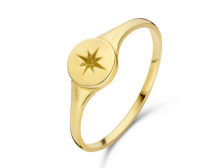 Jackie Star Signet ring 14krt mt.54