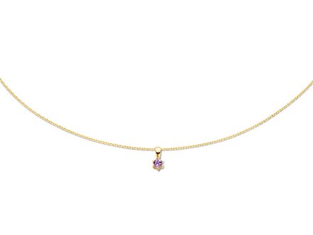 Jackie Gold Amethyst collier JKN20.006