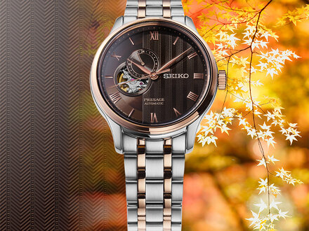 Seiko Presage Japanese Zen Garden SSA466J1