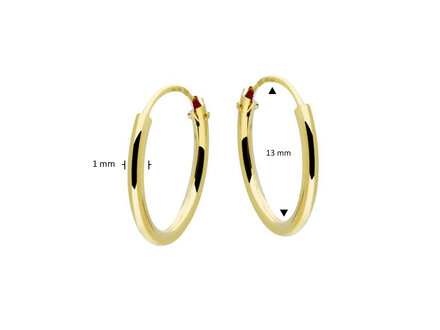 glow 14k yellow gold oorringen 13x1.3mm 207.0002.13