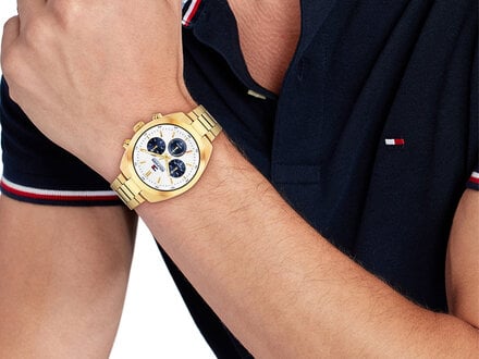 Tommy Hilfiger Hudson goudkleurig 40mm TH1710723