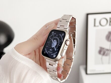 PvZ/Apple Watch Band Small Starlight stainless steel 40/41/42mm