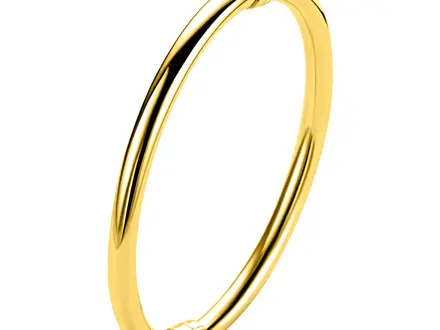 Zinzi Goldplated bangle armband rond glad 5mm ZIA2754G