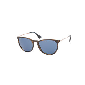 Ray-Ban RB4171 639080 Erika