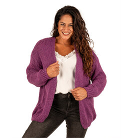 New Collection Aubergine losgebreid vest van New Collection